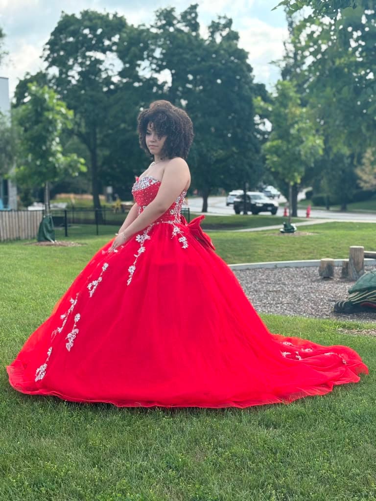 Emmeri's Quinceañera Hero Image